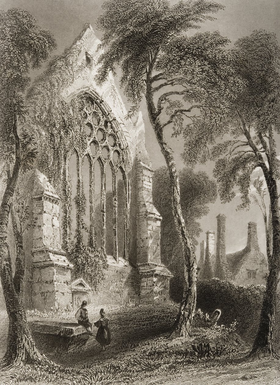 Youghal Abbey, County Cork, Irland, aus 