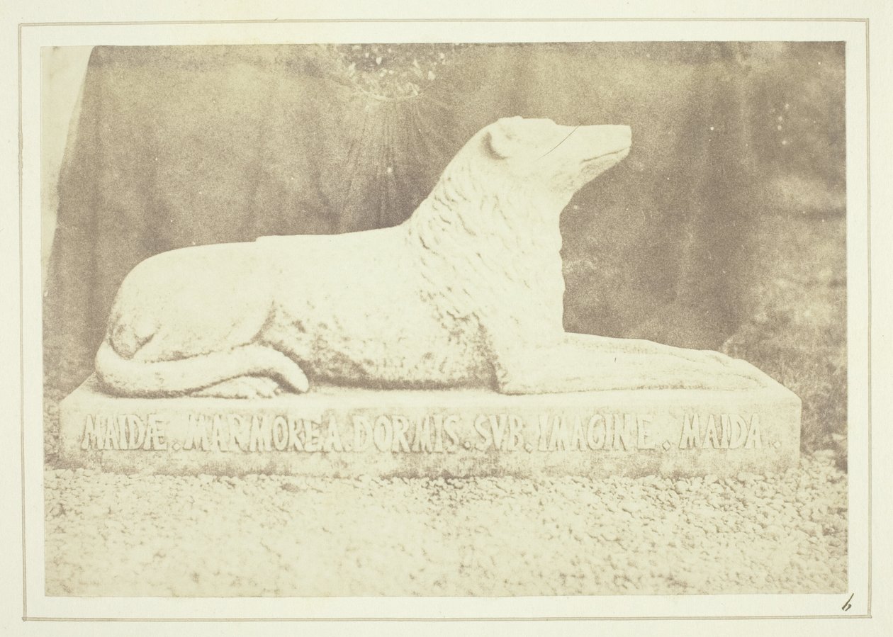 Abbild von Sir W. Scotts Lieblingshund Maida, neben der Haustür in Abbotsford von William Henry Fox Talbot