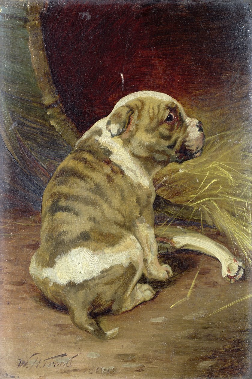 Gib einem Hund einen Knochen, 1888 von William Henry Hamilton Trood