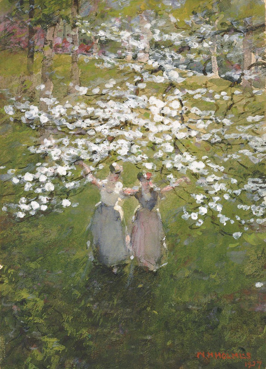Blüten von William Henry Holmes