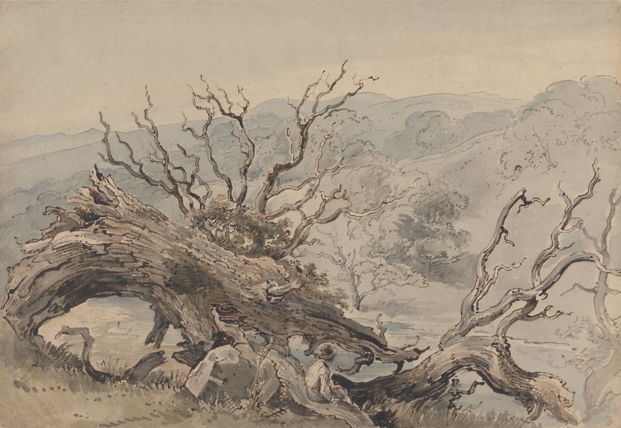 Eine gefallene Eiche von William Henry Hunt
