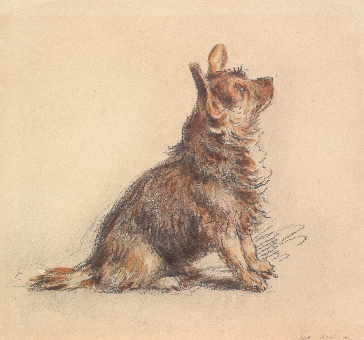 Ein sitzender Terrier, der nach rechts oben blickt von William Henry Hunt