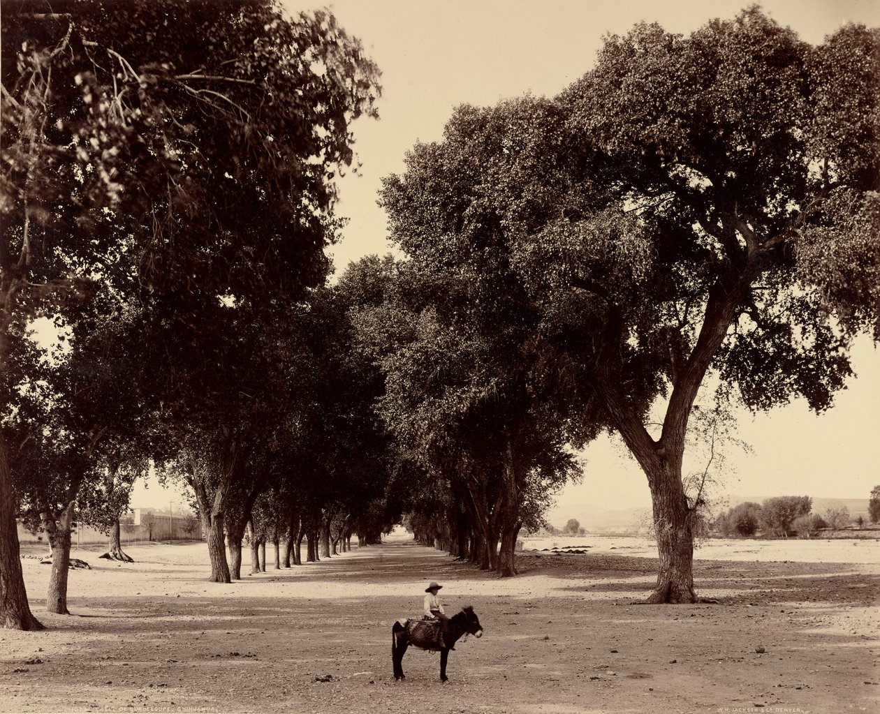 Calle de Guadeloupe, Chihuahua, Mexiko von William Henry Jackson