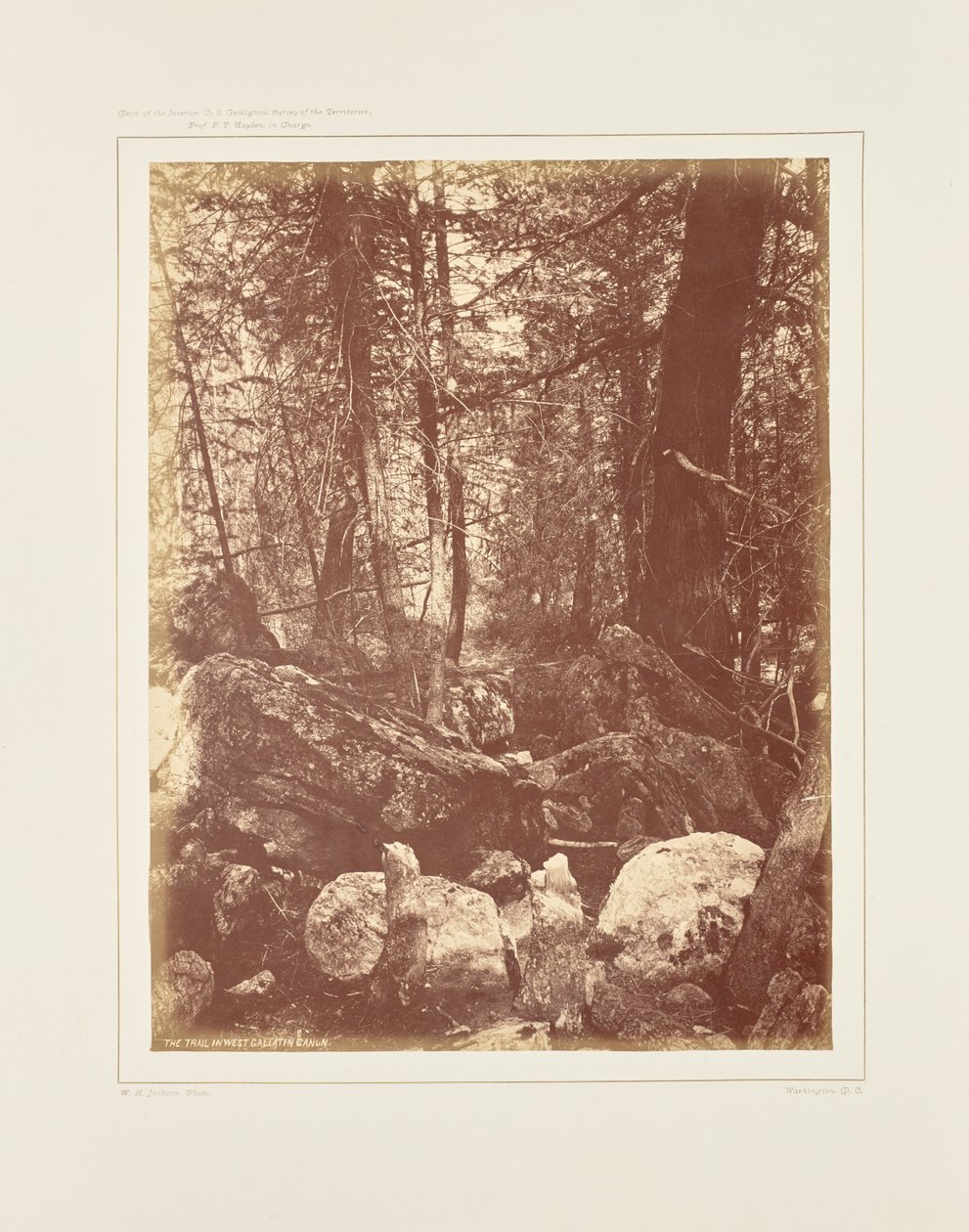 Der Pfad im Wald, Gallatin-Schlucht von William Henry Jackson