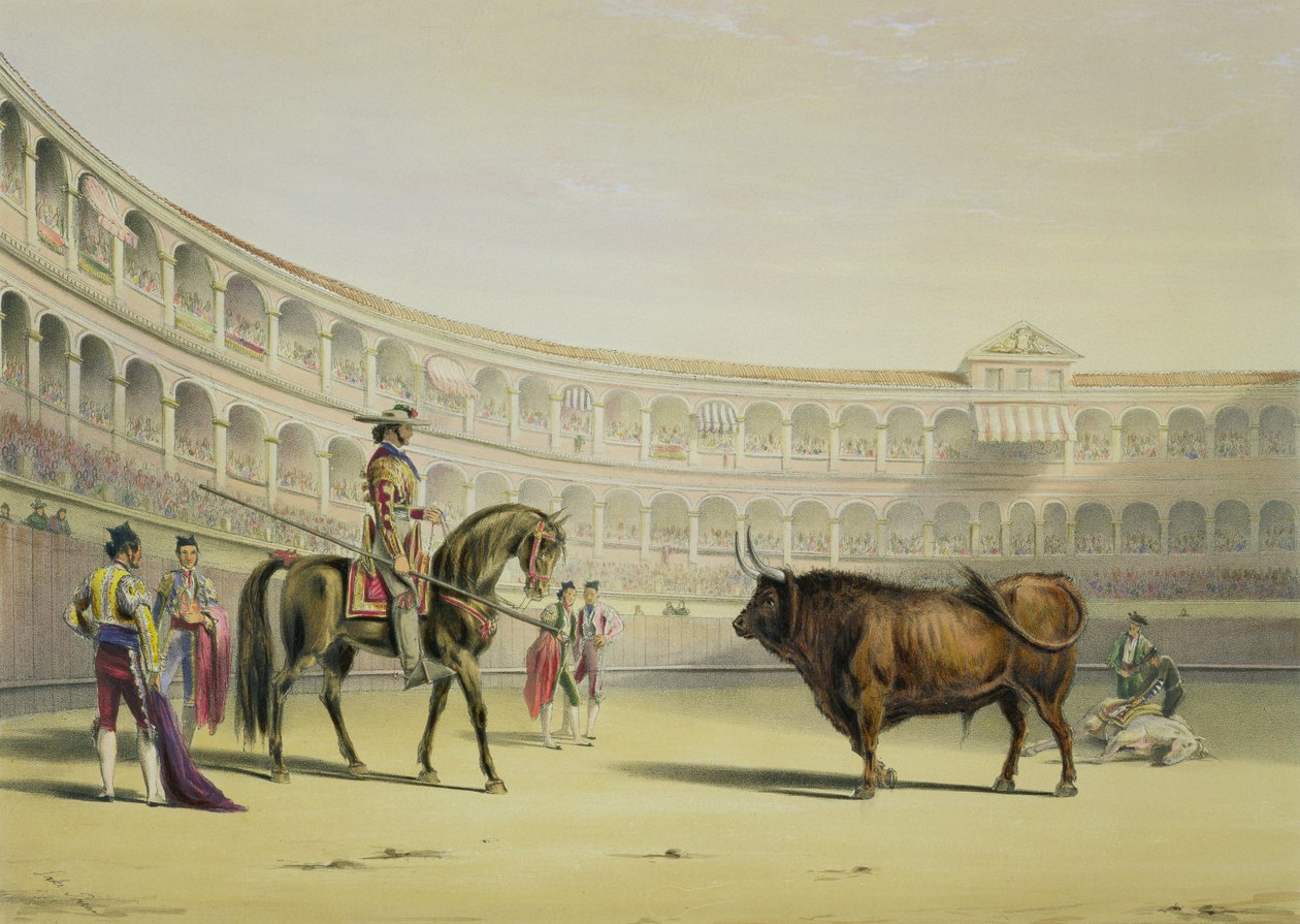 Picador fordert den Stier heraus, 1865 von William Henry Lake Price