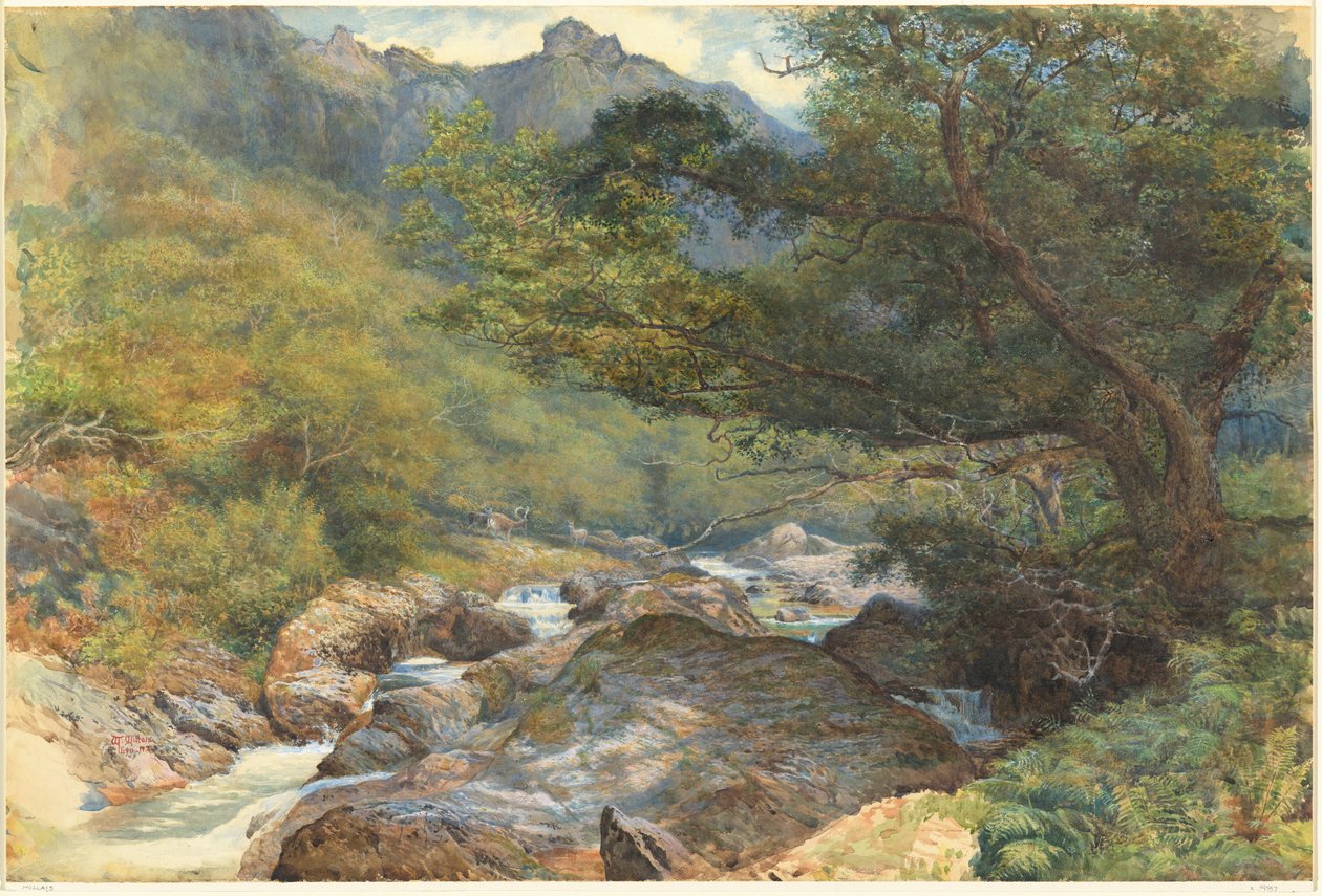 Am East Lyn, Nord-Devon von William Henry Millais