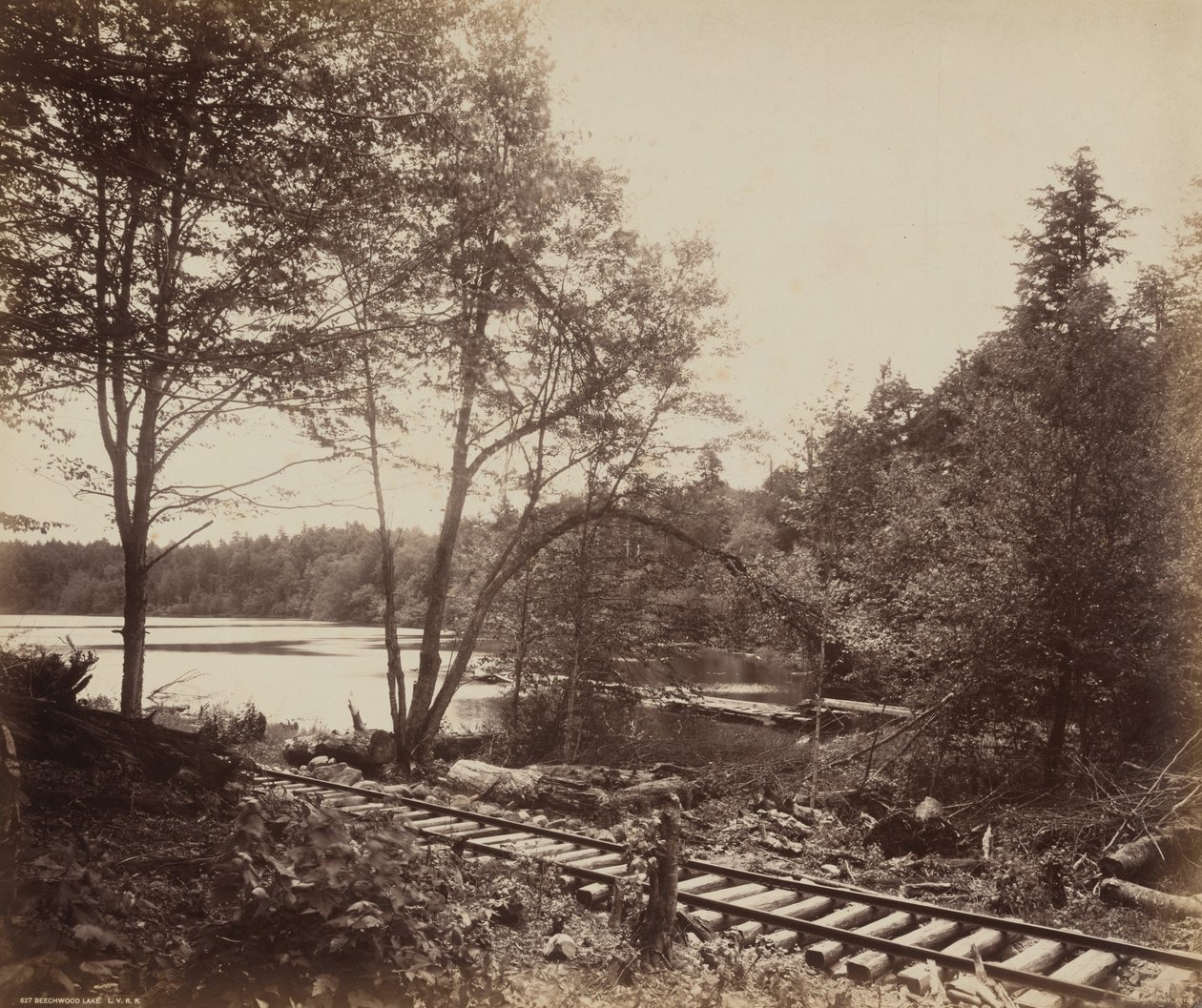 Beechwood-See, ca. 1895 von William Herman Rau