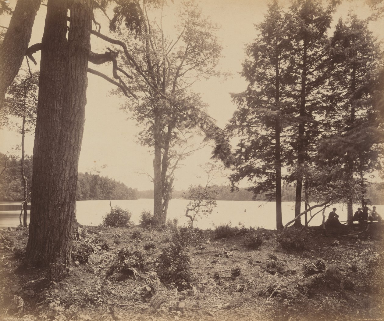 Ganoga-See, ca. 1895 von William Herman Rau
