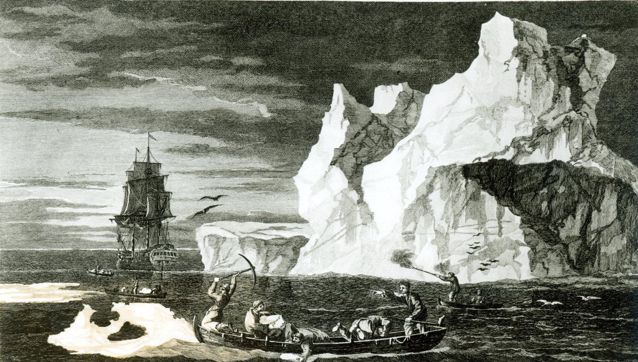 Die Eisinseln am 9. Januar 1773, graviert von B. T. Pouney, 31. Februar 1777 von William Hodges