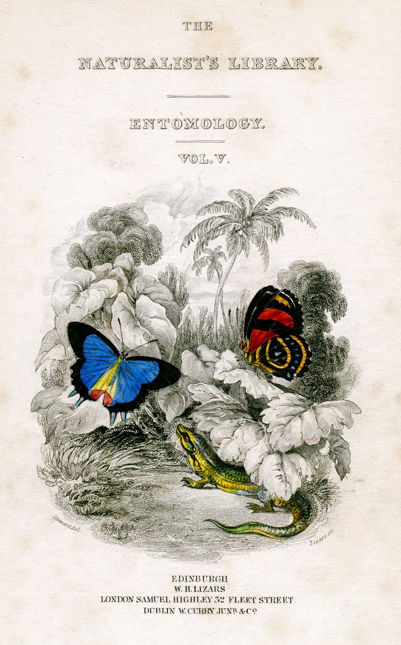 Die Bibliothek der Naturforscher, Entomologie, Band V, Schmetterlinge von William Home Lizars