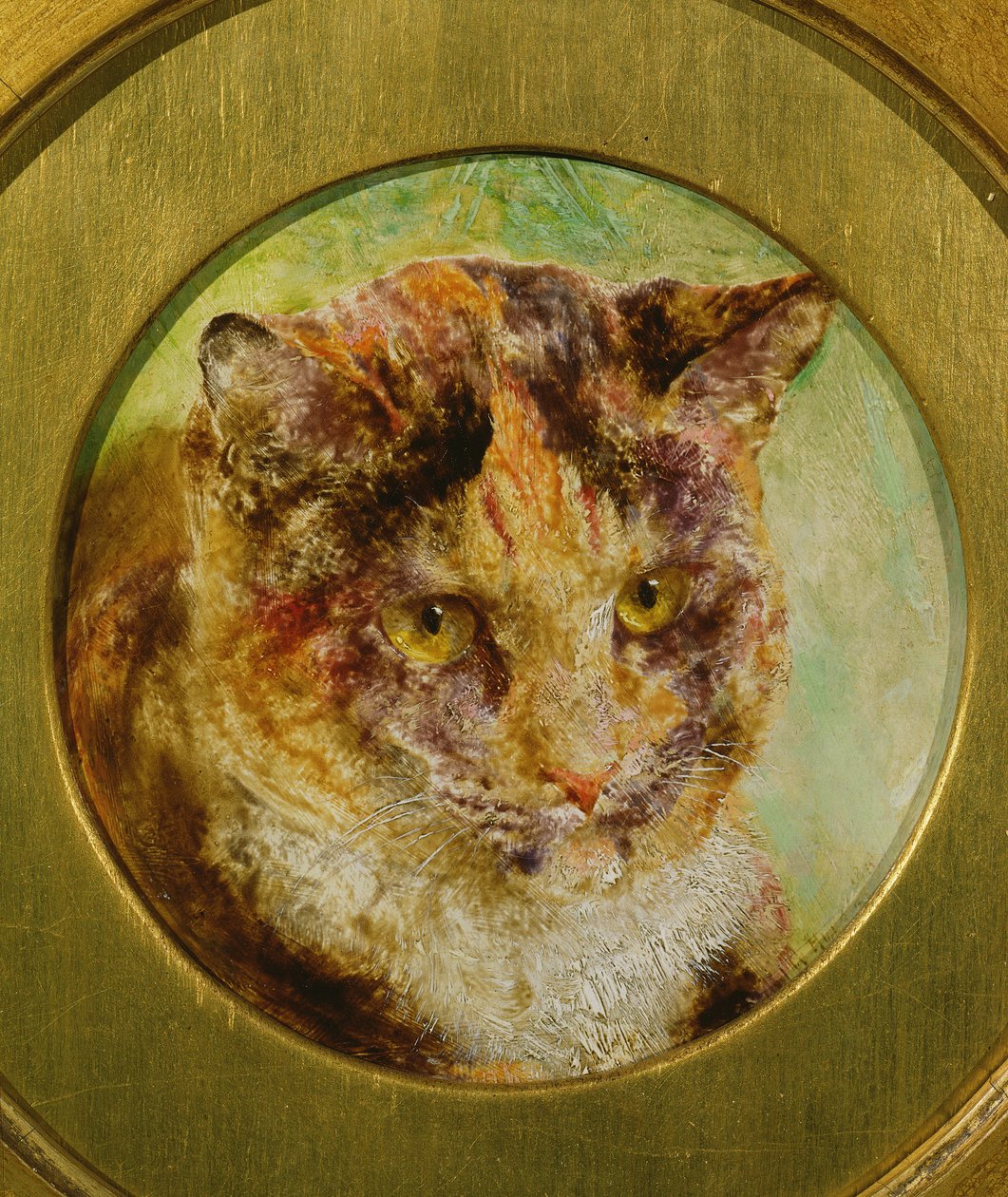 Studie einer Schildpattkatze von William Huggins
