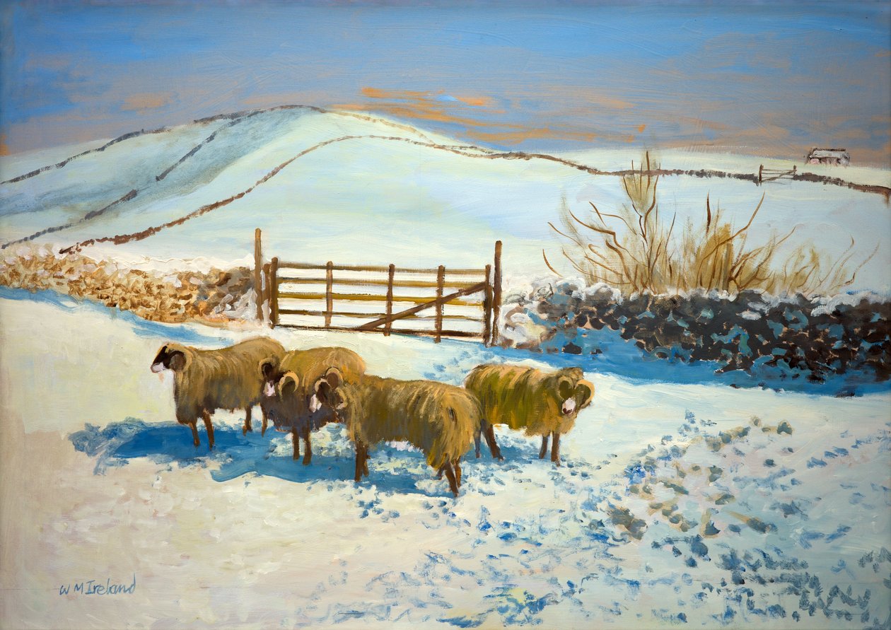 Schnee in den Yorkshire Dales von William Ireland