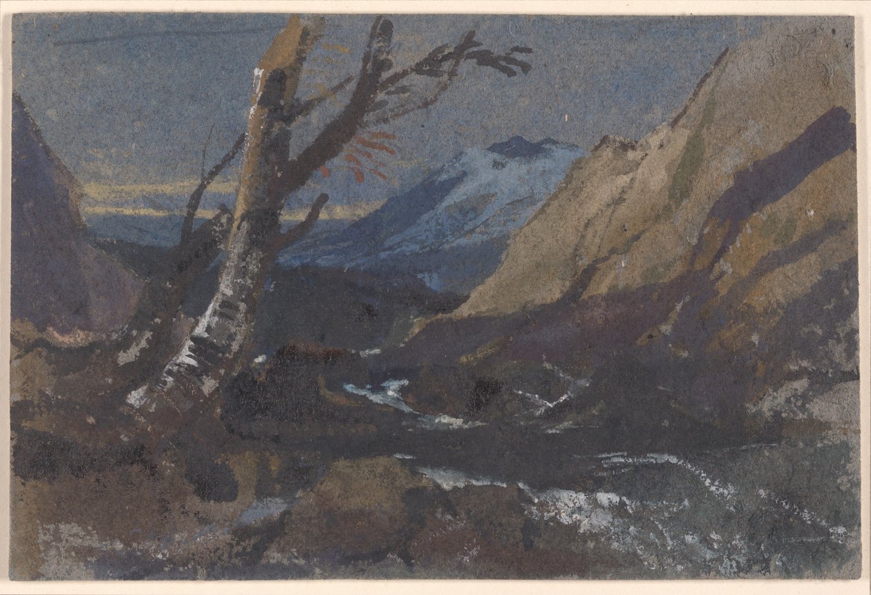 Studie von Bäumen an einem Gebirgsbach von William James Muller