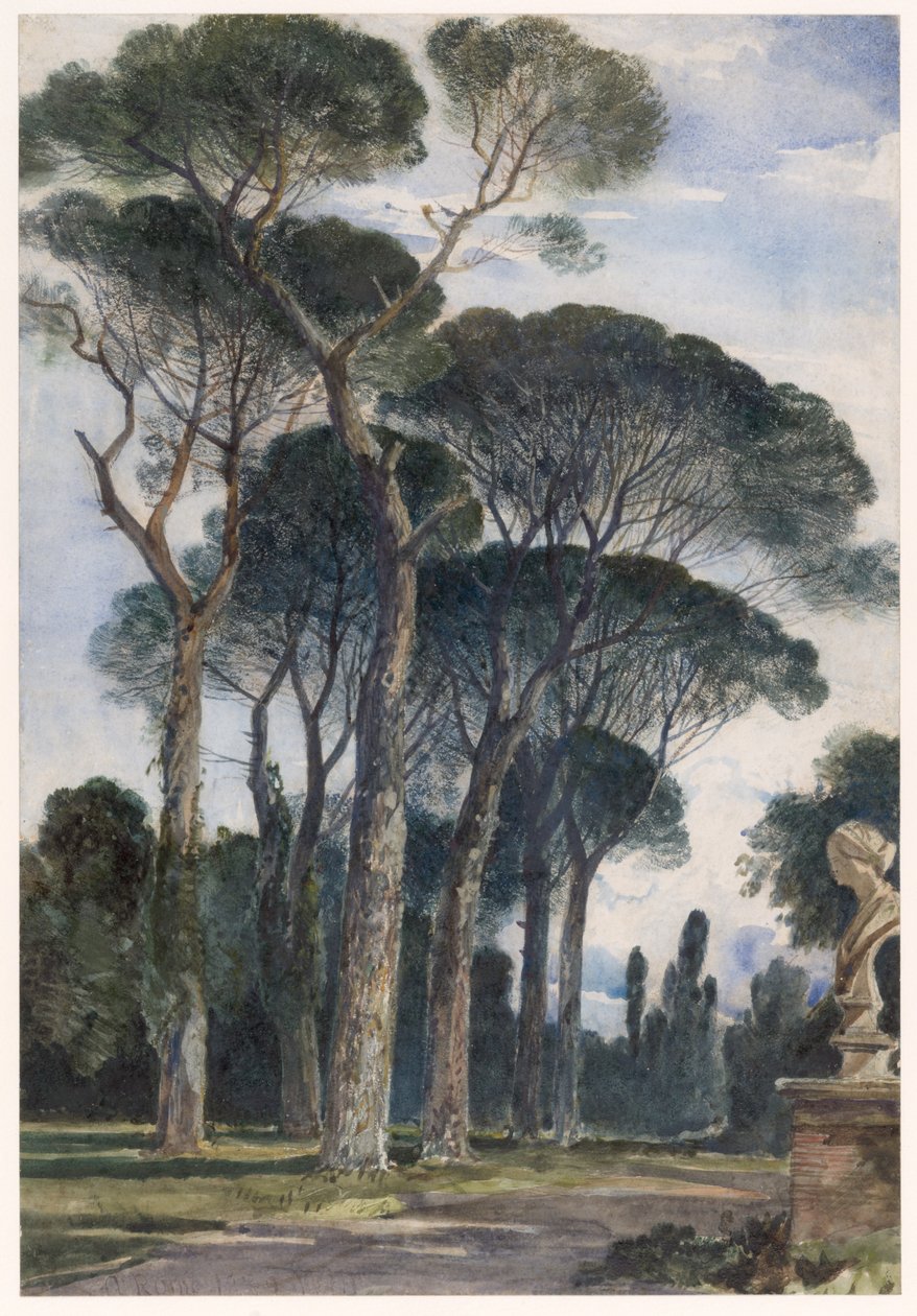 Schirmkiefern in der Villa Borghese, Rom von William James Muller