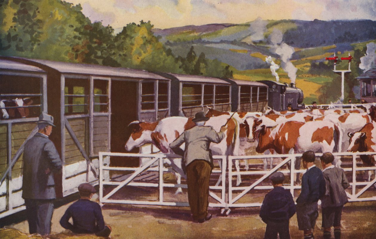 Ein Viehzug wird an einem Landbahnhof beladen von William John Patton McDowell