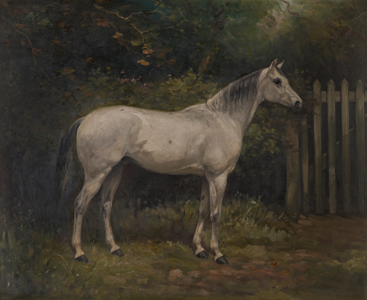 Pickles: ein Basuto-Pony, c.1904 von William Josiah Redworth
