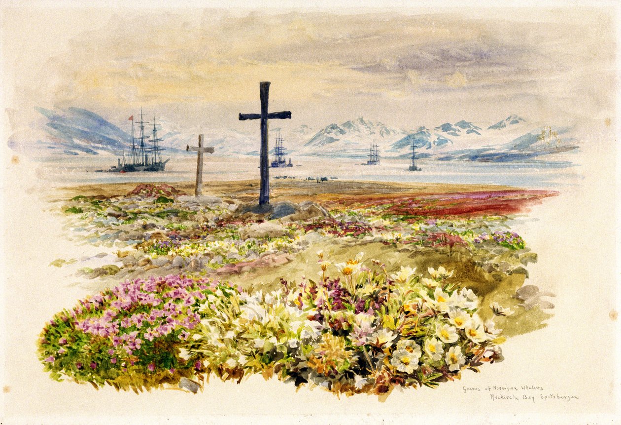 Search Bay (Research Bay, Tasmanien, Australien), zwei Kreuze in Blumenbeeten mit Schiffen in der Ferne von William Lionel Wyllie