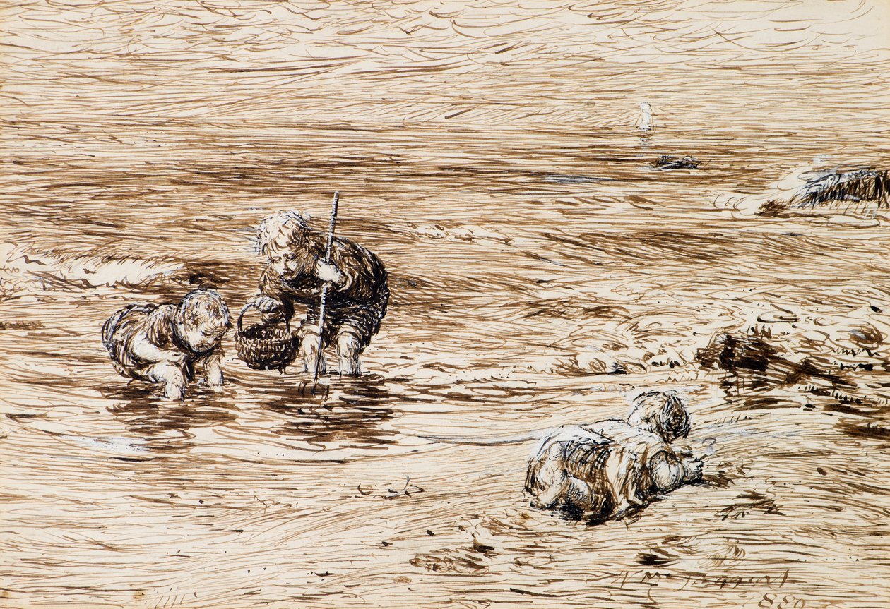 Seeigel von William McTaggart