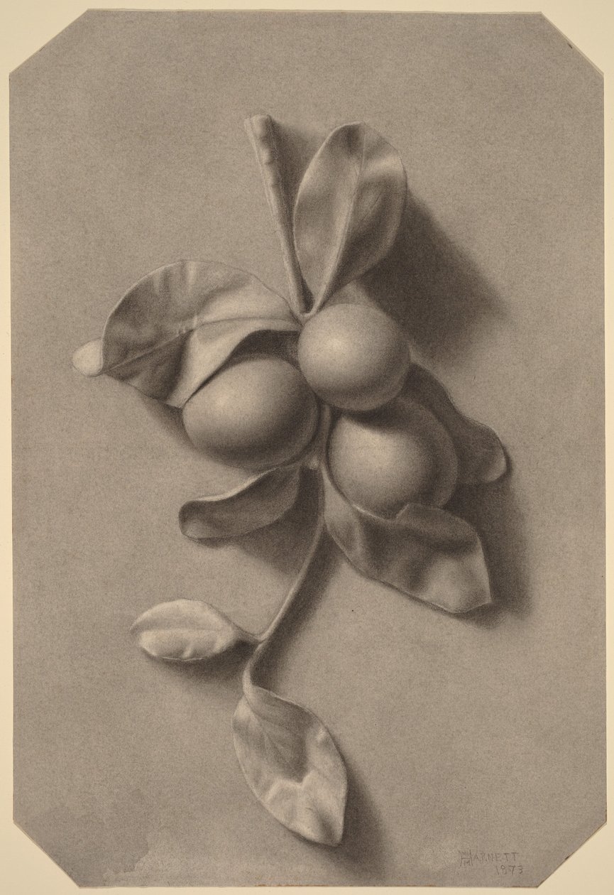 Ein Zweig mit Pflaumen von William Michael Harnett