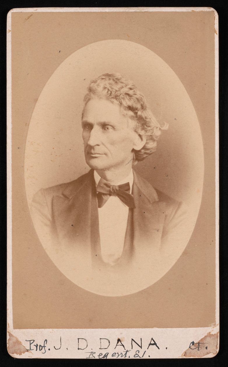 Porträt von James Dwight Dana von William Notman