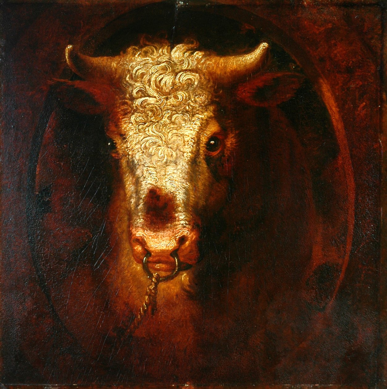Der Stierkopf von William Overend Geller