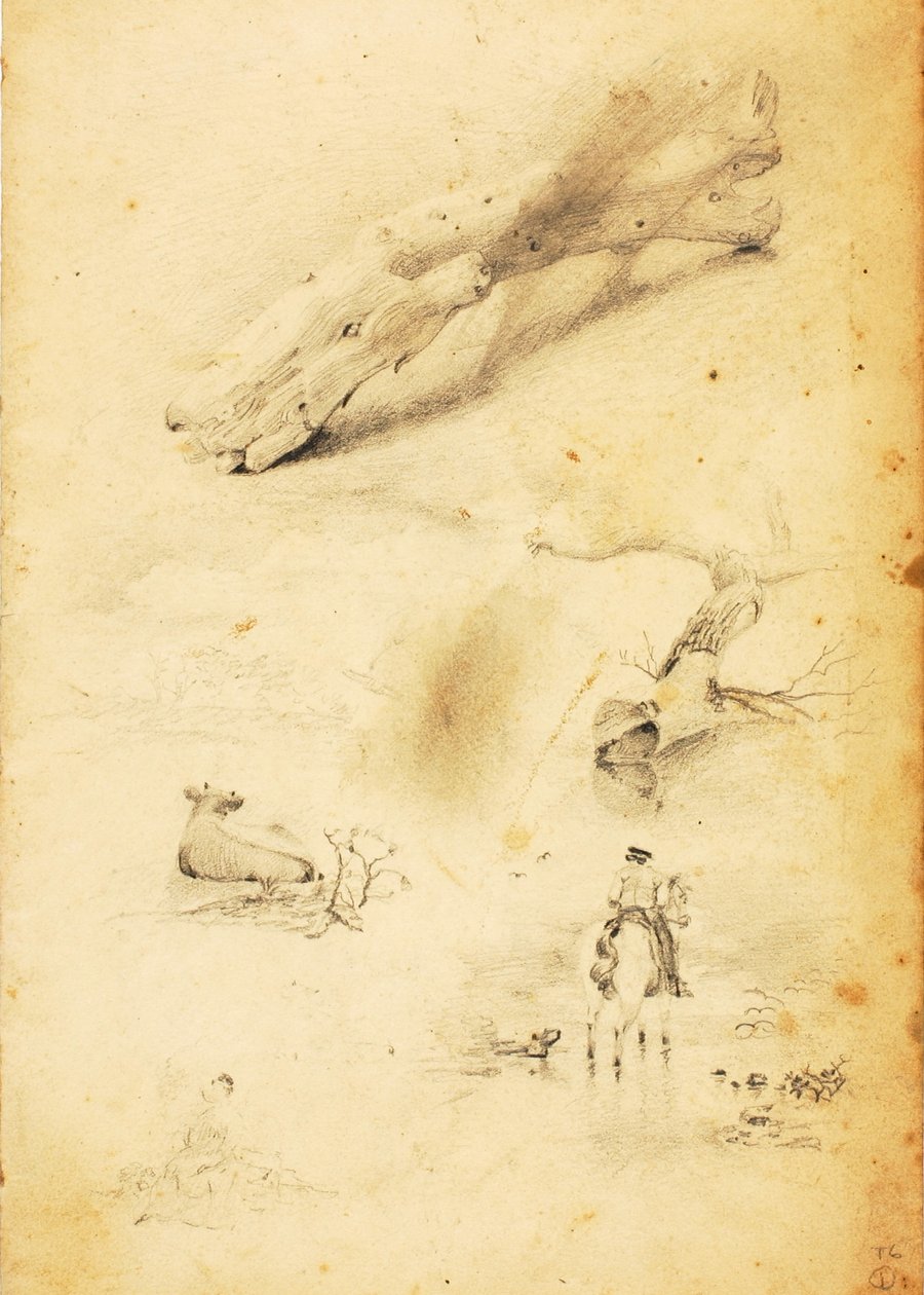 (Studien - Figuren, Baumstamm, Pferd und Reiter, etc.) von William Page