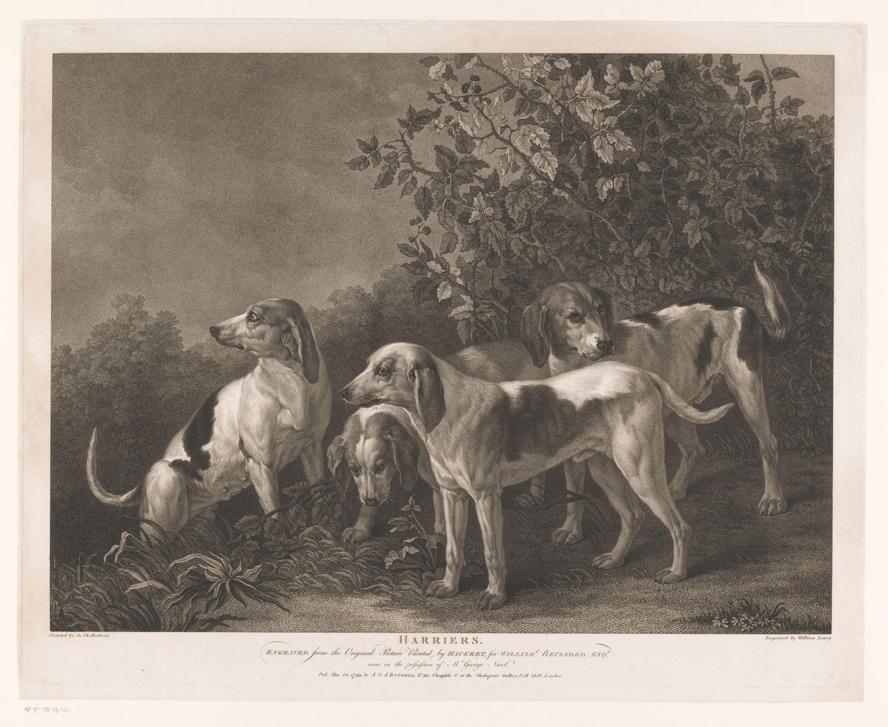 Vier Jagdhunde von William Satchwell Leney