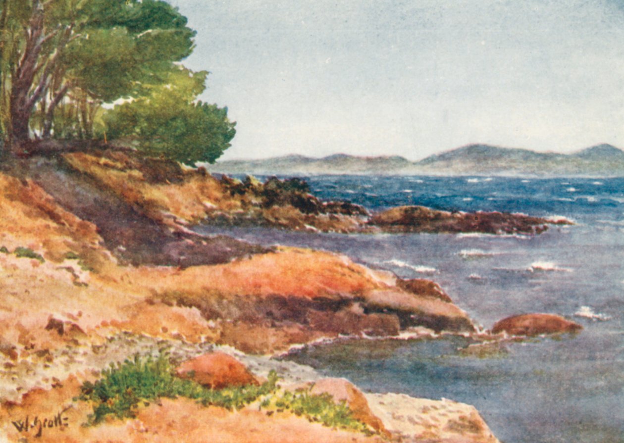 Am Ufer nahe Carqueiranne von William Scott
