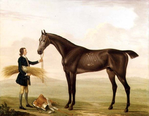 Ein Apfelschimmelhengst, gehalten von einem Stallburschen von William Shaw