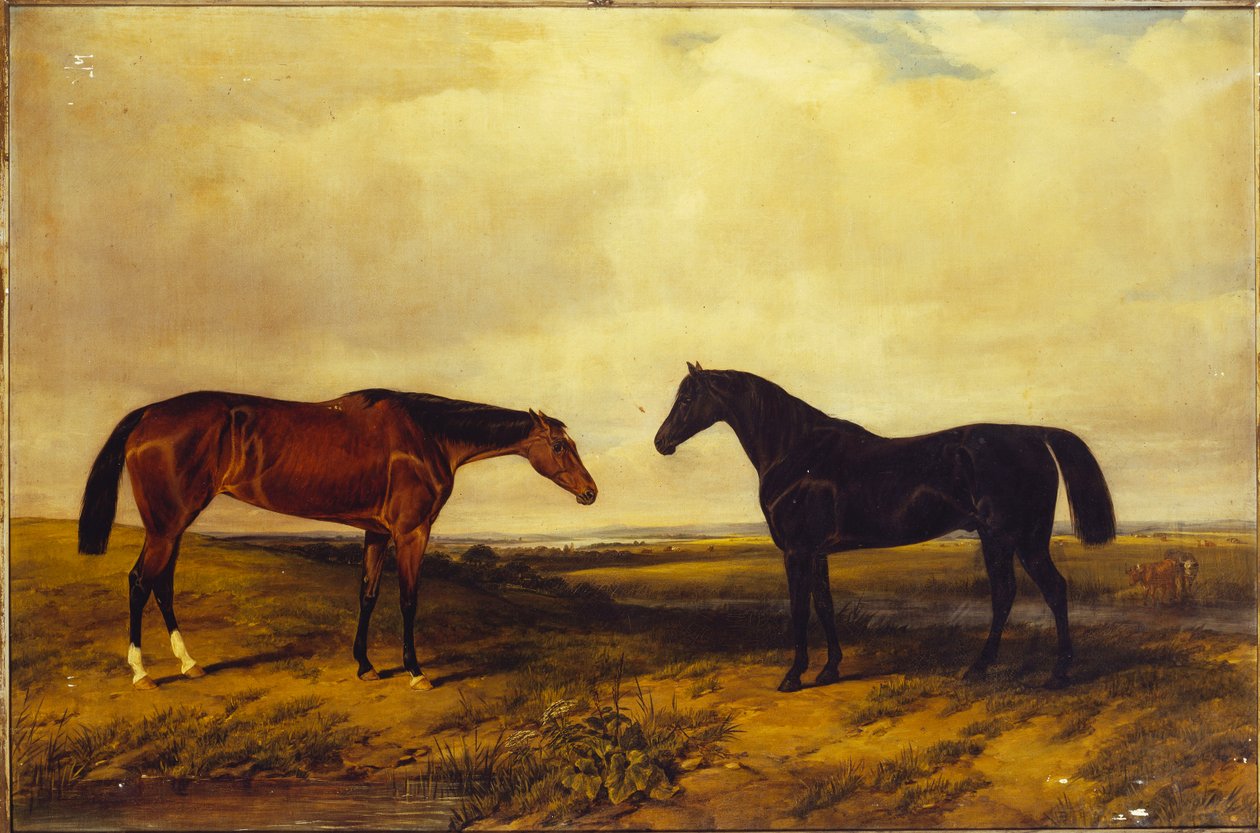 Die hellbraune Stute und der dunkelbraune Hengst des Earl of Granard, 1885 von William Snr. Luker