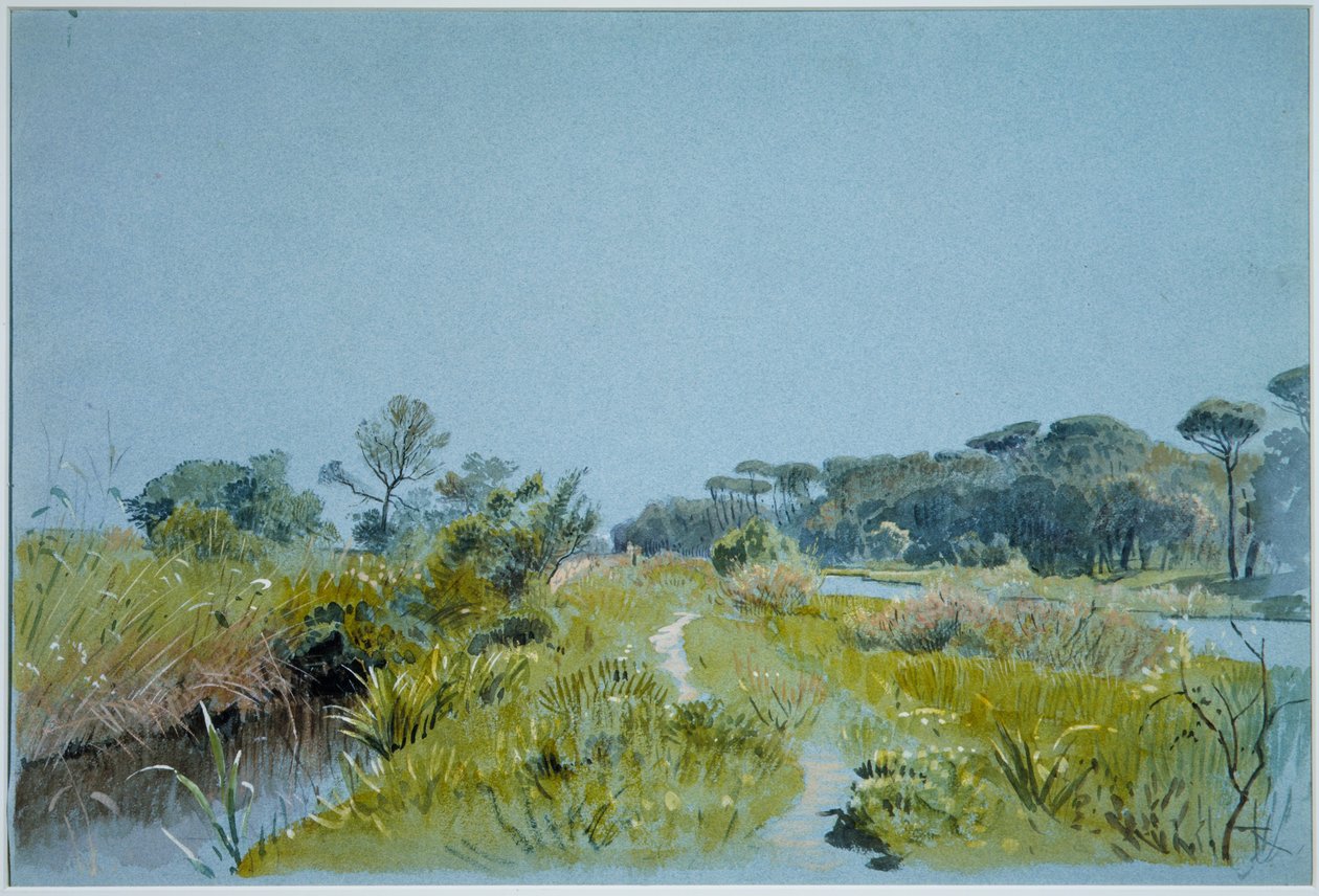 Castel Fusano—In der Nähe von Rom von William Stanley Haseltine