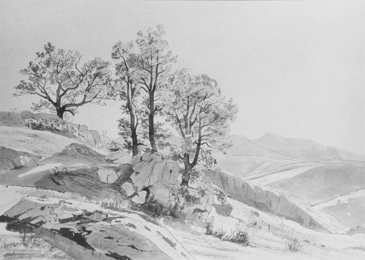 Olevano (Römische Campagna) von William Stanley Haseltine