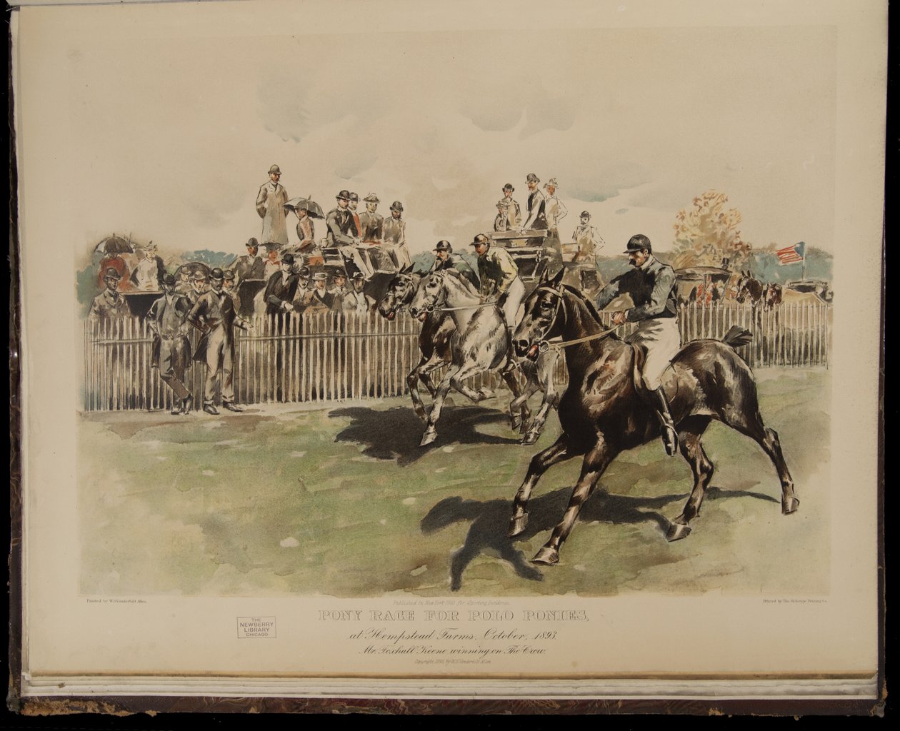 Ponyrennen für Poloponys von William Sullivant Vanderbilt Allen
