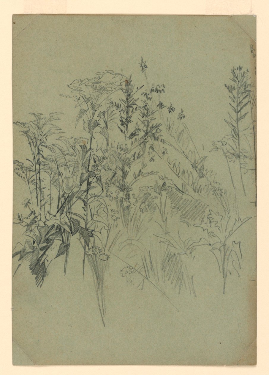 Studie von Laub von William Trost Richards