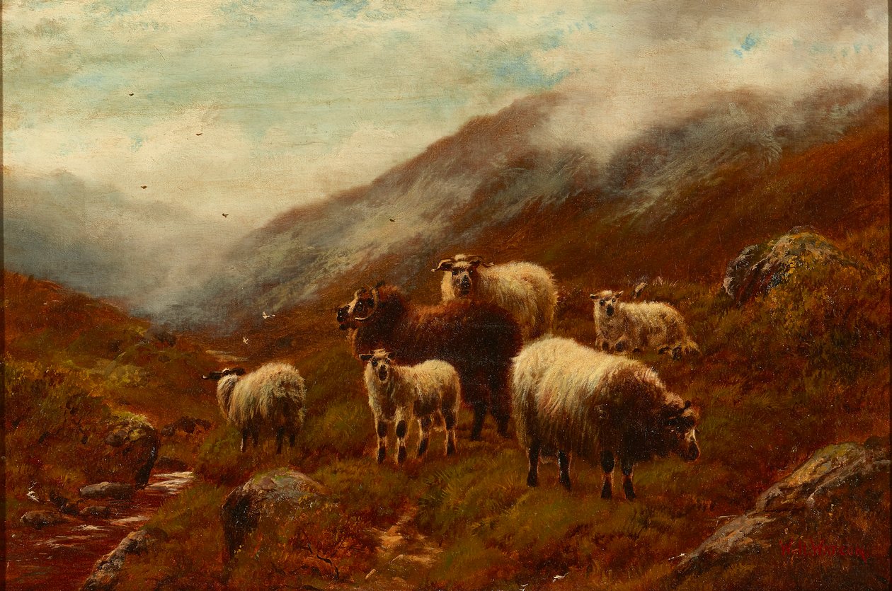 Hochlandschafe auf einem Hügel von William Watson