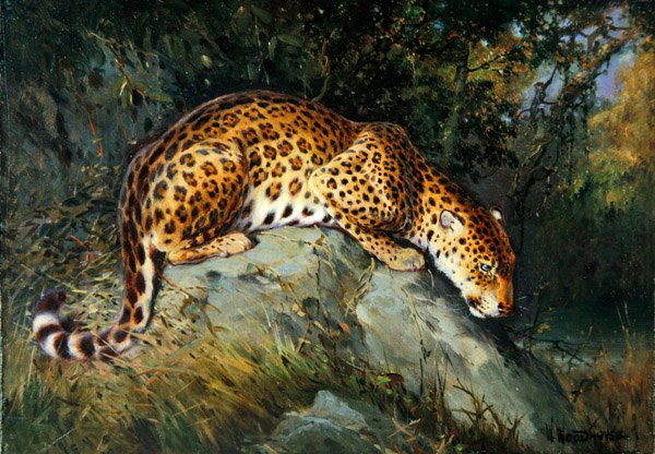 Ein Leopard, der auf einem Felsen kauert von William Woodhouse