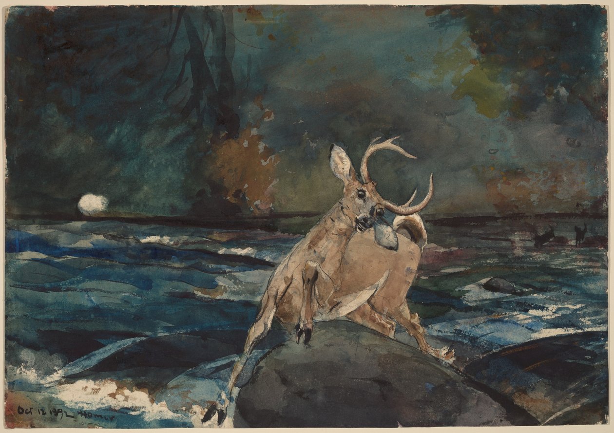 Ein guter Schuss, Adirondacks von Winslow Homer