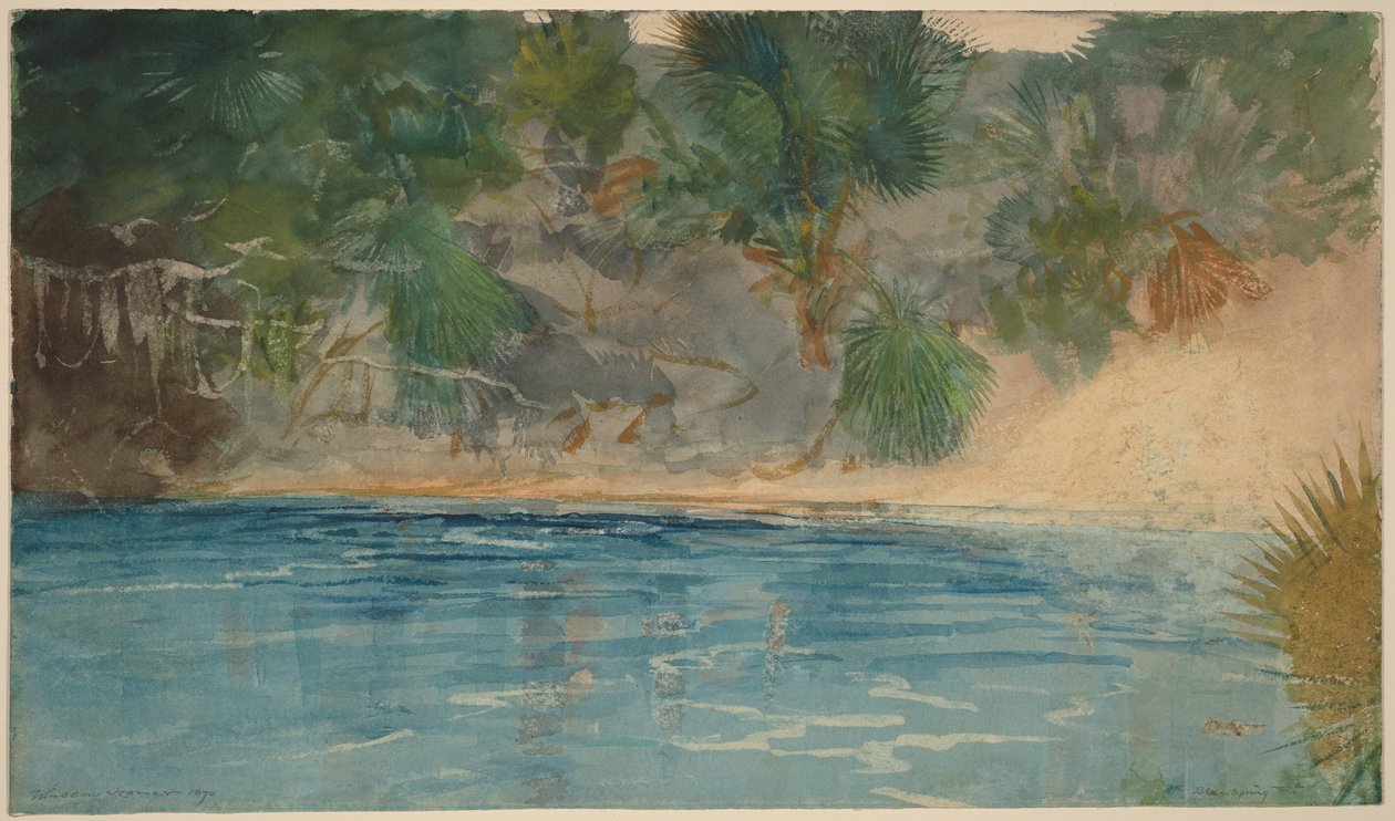 Blue Spring, Florida von Winslow Homer