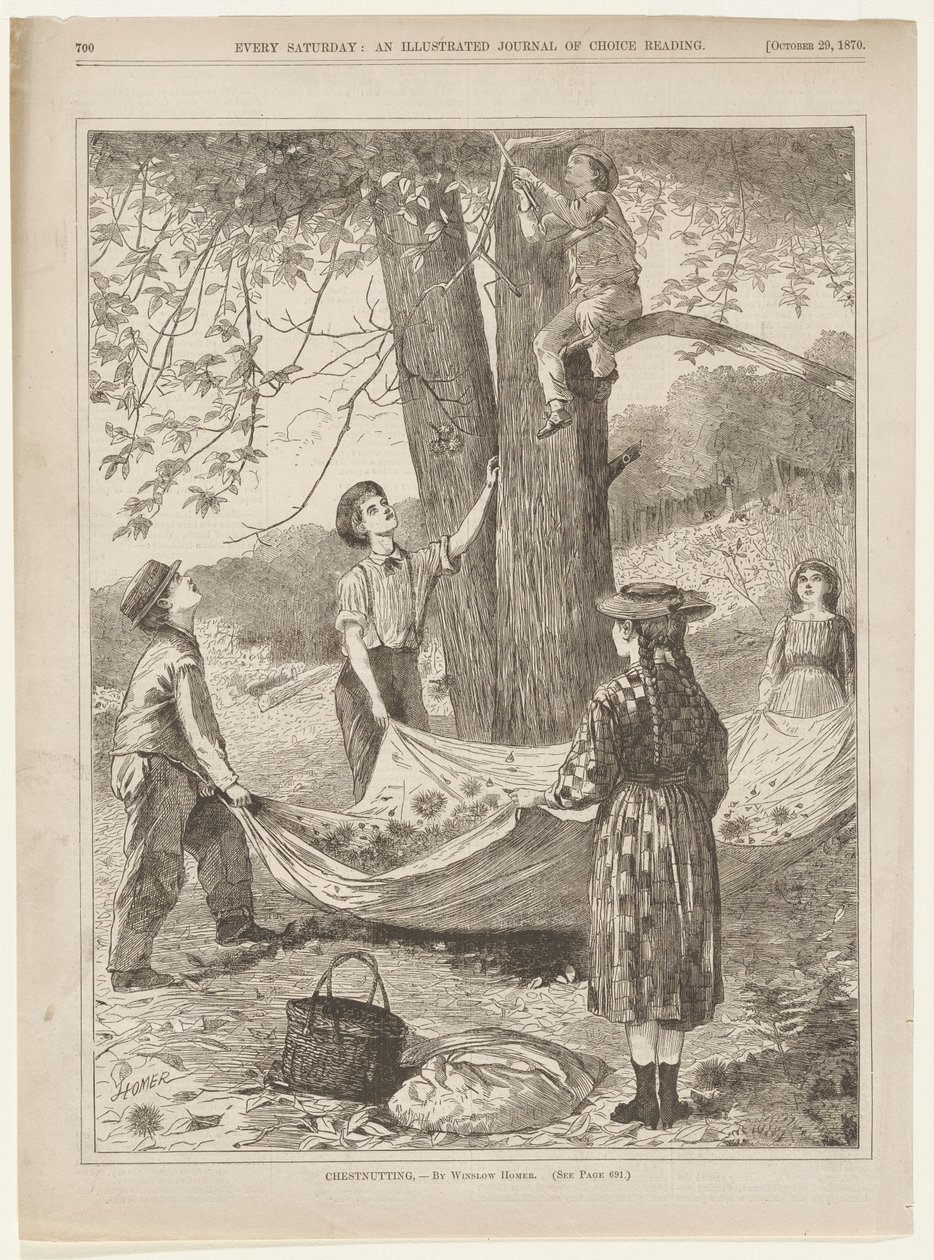 Kastaniensammeln von Winslow Homer