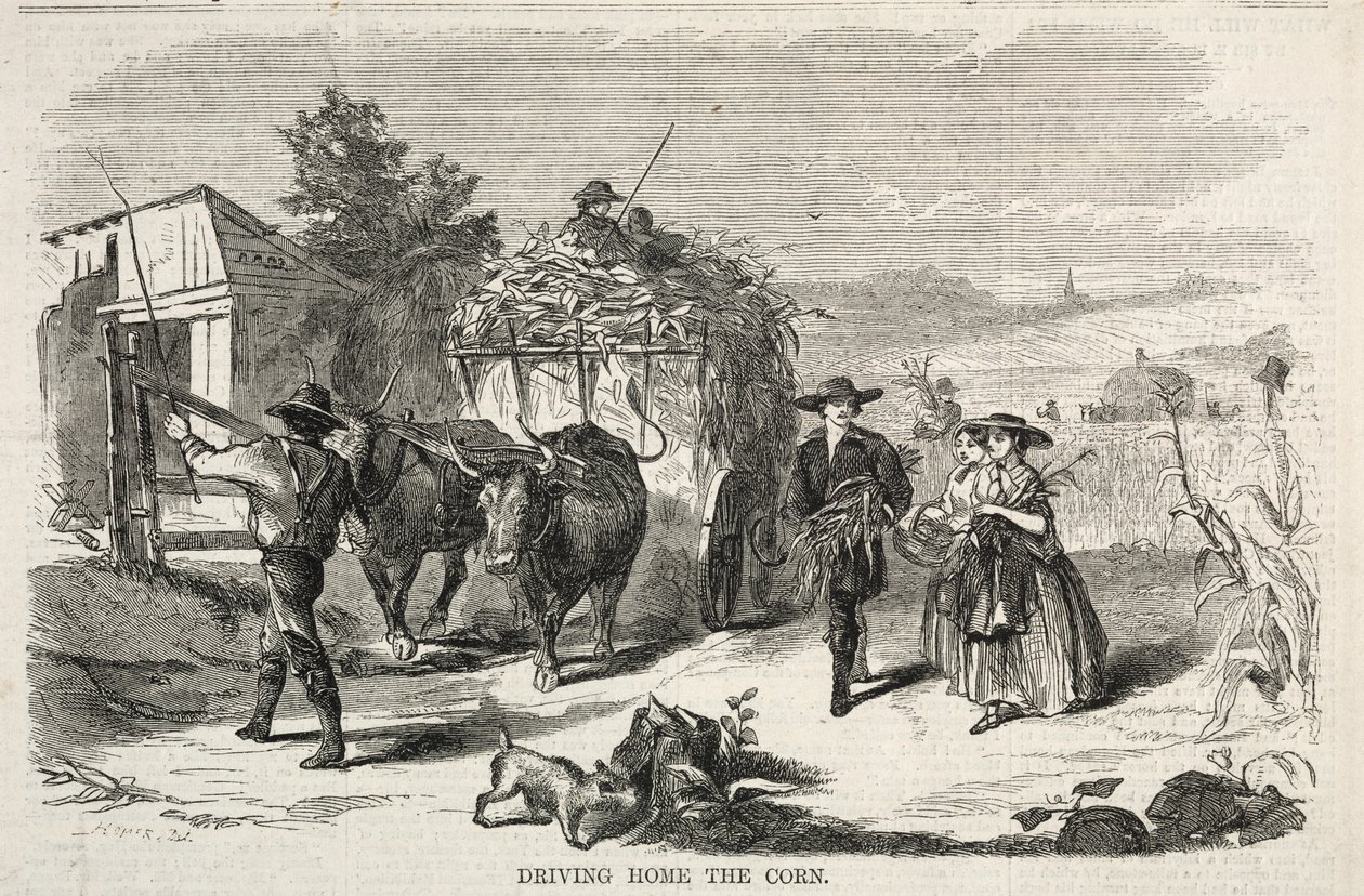 Heimfahrt mit dem Korn von Winslow Homer