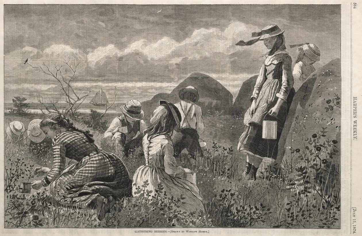 Beeren sammeln von Winslow Homer