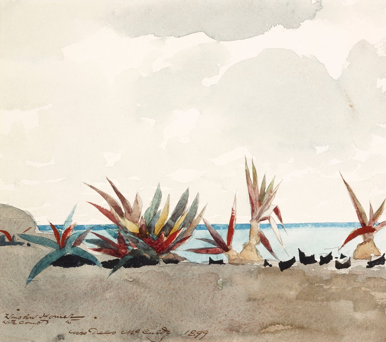 Nassau-Strand mit Jahrhundertpflanzen von Winslow Homer