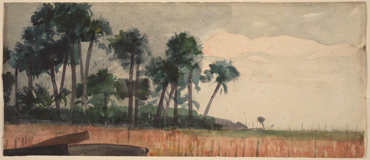 Palmen, Rot von Winslow Homer