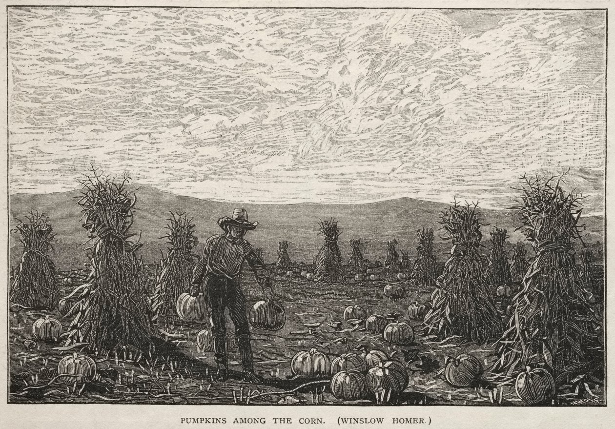 Kürbisse unter dem Mais, 1878 von Winslow Homer