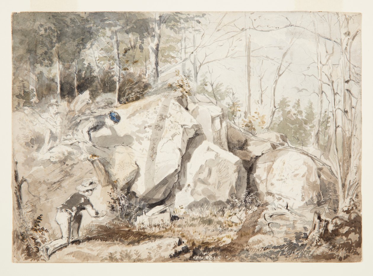 Eine Eichhörnchenfalle stellen von Winslow Homer