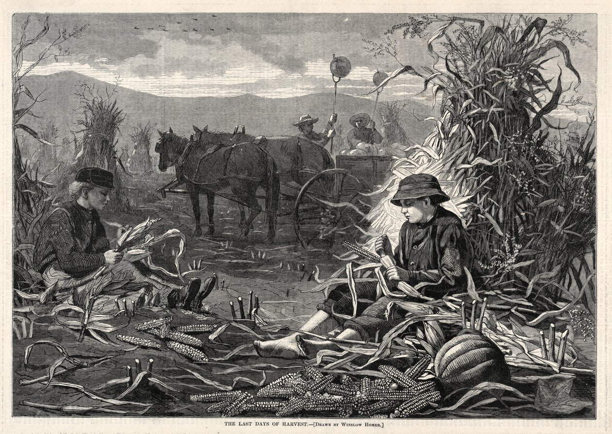 Die letzten Tage der Ernte von Winslow Homer
