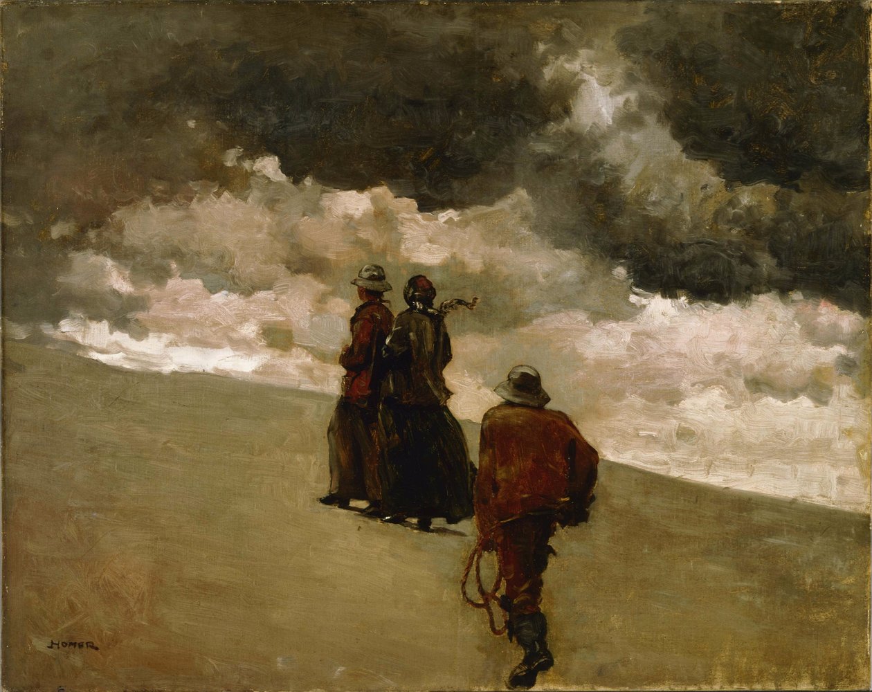 Zur Rettung von Winslow Homer