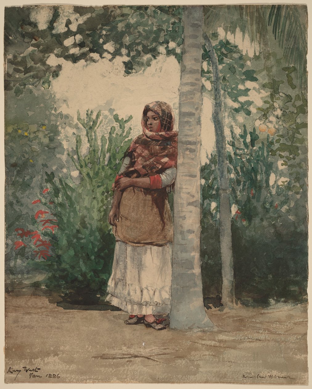 Unter einer Palme von Winslow Homer