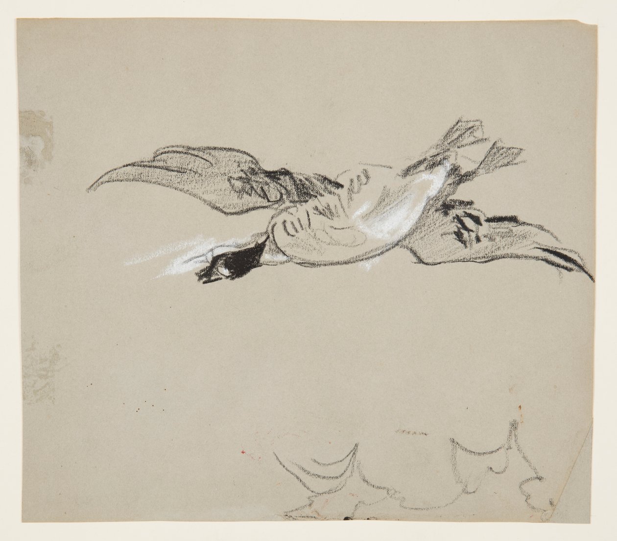 Wildgans im Flug von Winslow Homer