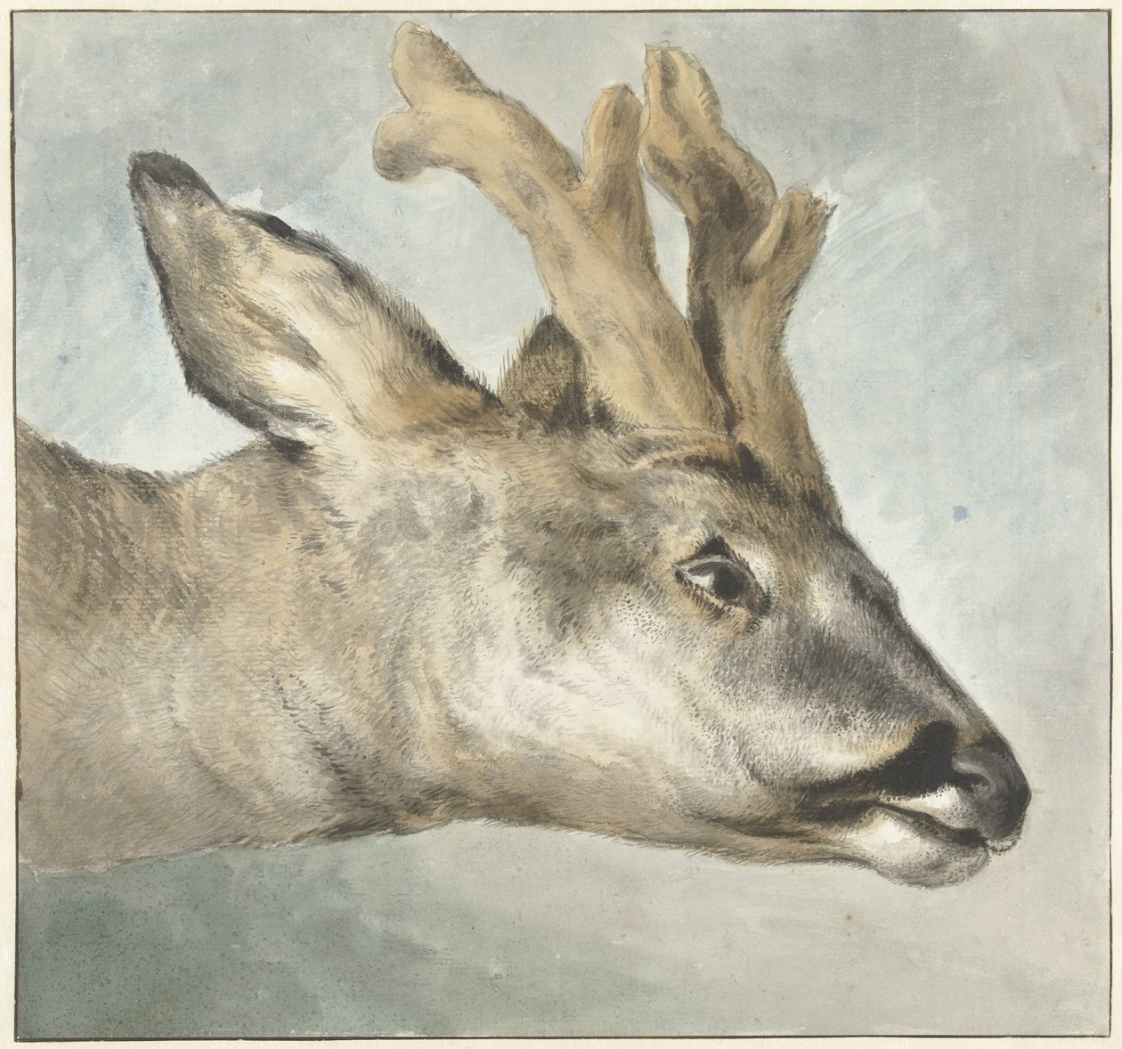 Kopf eines Rehbocks von Wybrand Hendriks